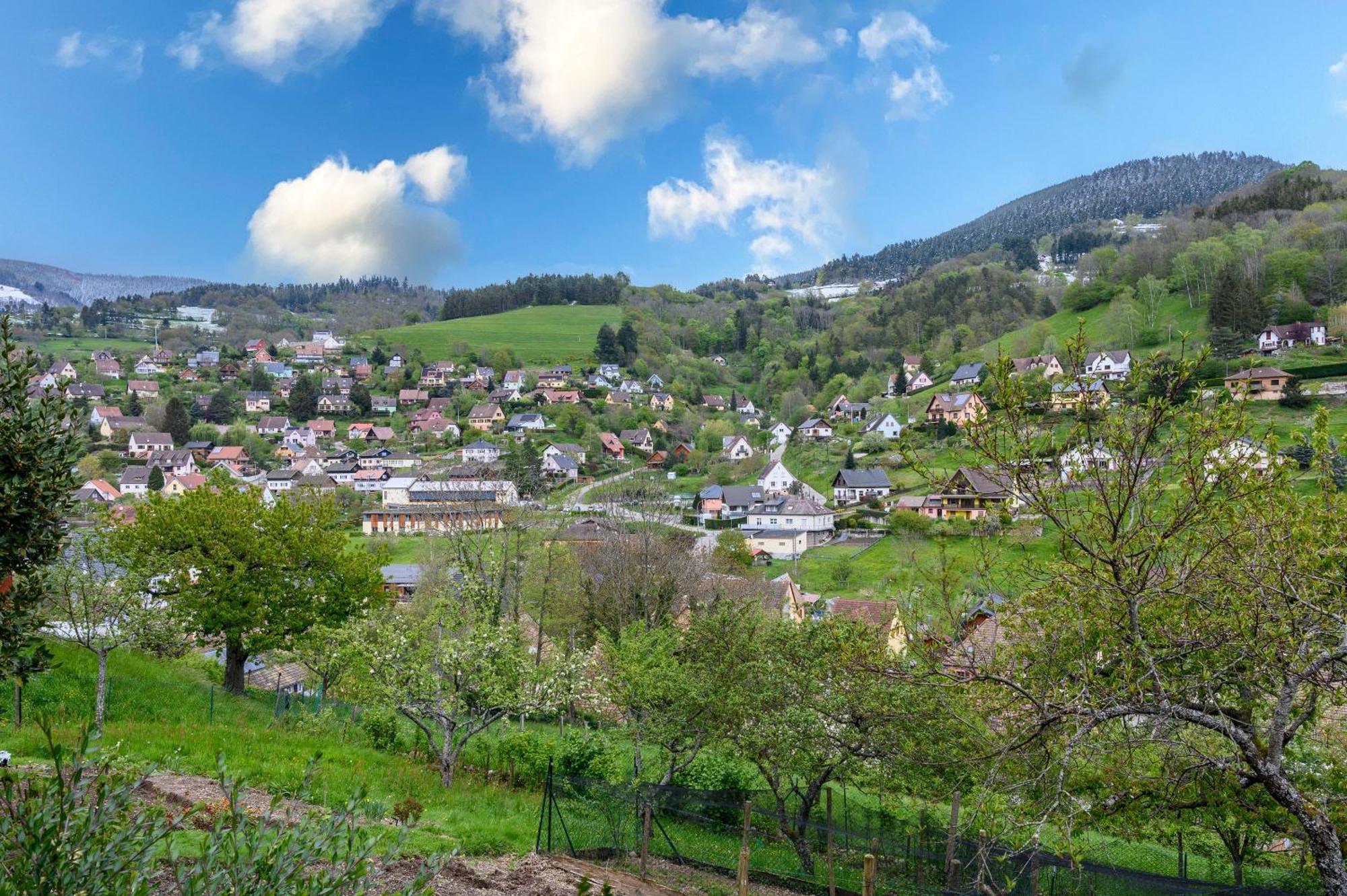 Gite En Montagne Vosges Alsaciennes Fréland المظهر الخارجي الصورة